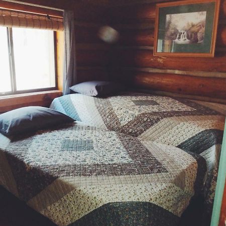 Cozy Cub Log Cabin - Year Round Tranquil Beauty 파인톱-호변 외부 사진