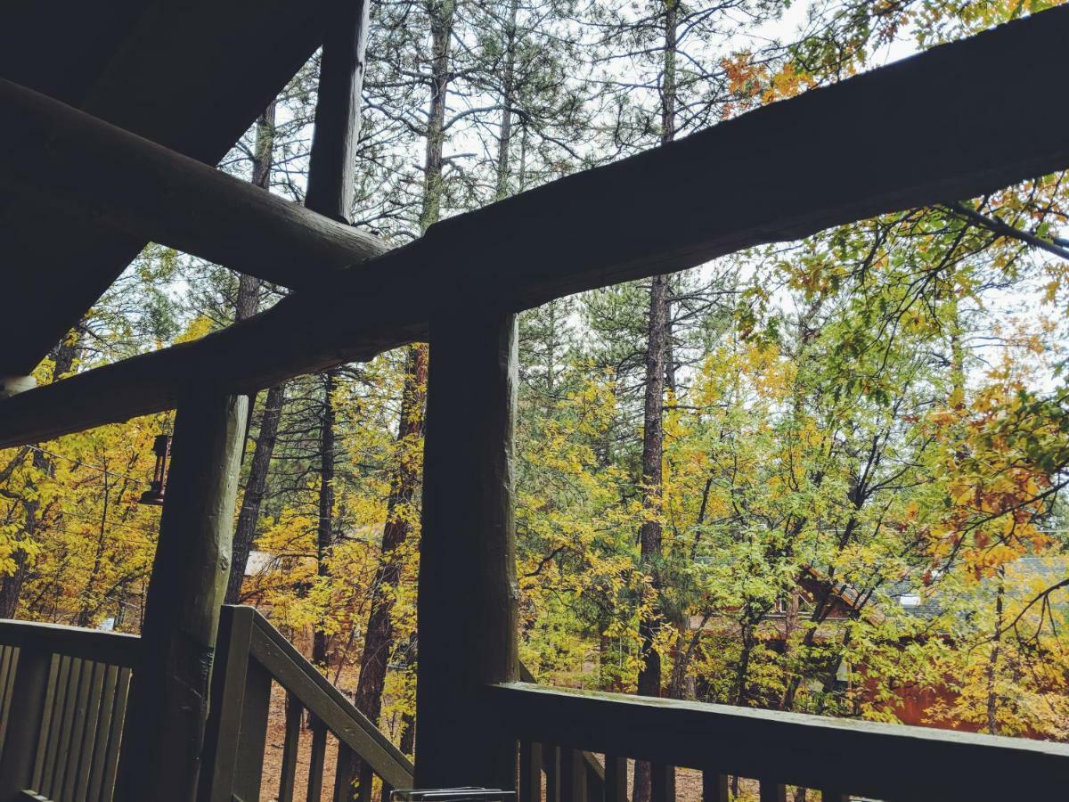 Cozy Cub Log Cabin - Year Round Tranquil Beauty 파인톱-호변 외부 사진