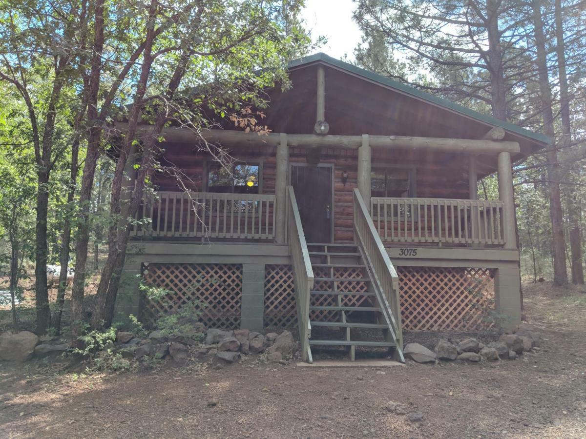 Cozy Cub Log Cabin - Year Round Tranquil Beauty 파인톱-호변 외부 사진