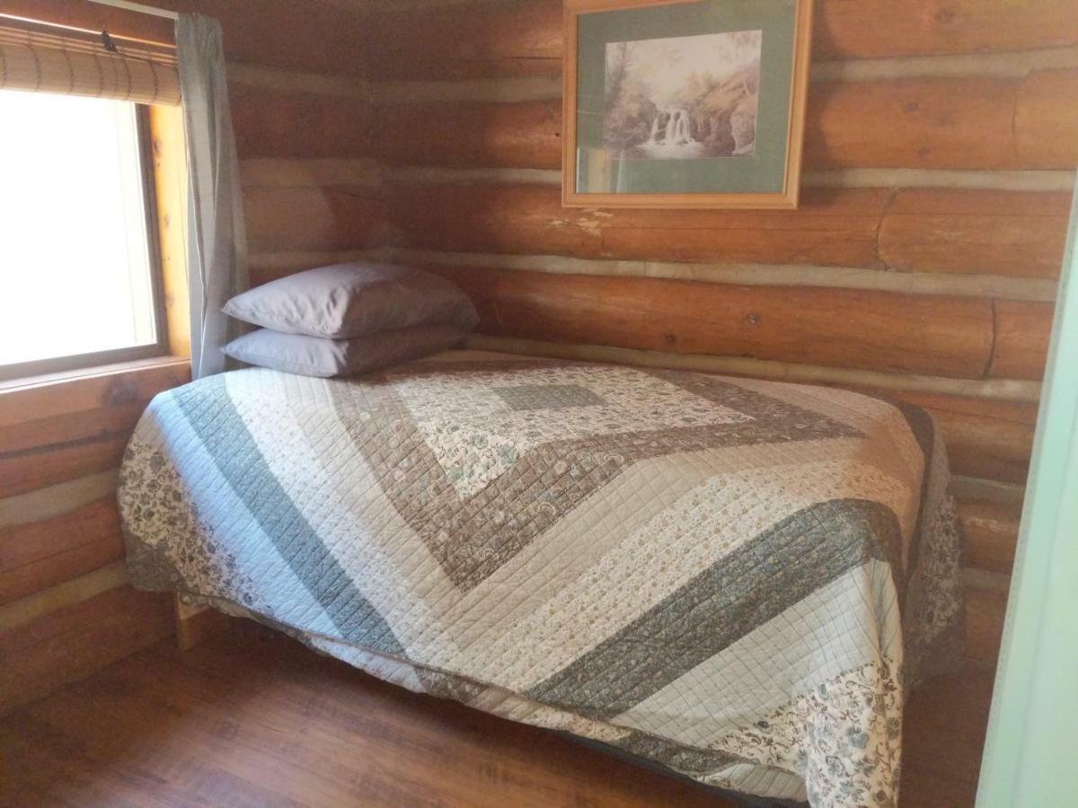 Cozy Cub Log Cabin - Year Round Tranquil Beauty 파인톱-호변 외부 사진