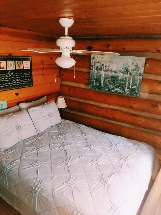 Cozy Cub Log Cabin - Year Round Tranquil Beauty 파인톱-호변 외부 사진